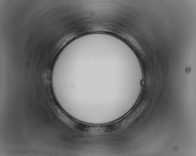 X0000101670793200808071044