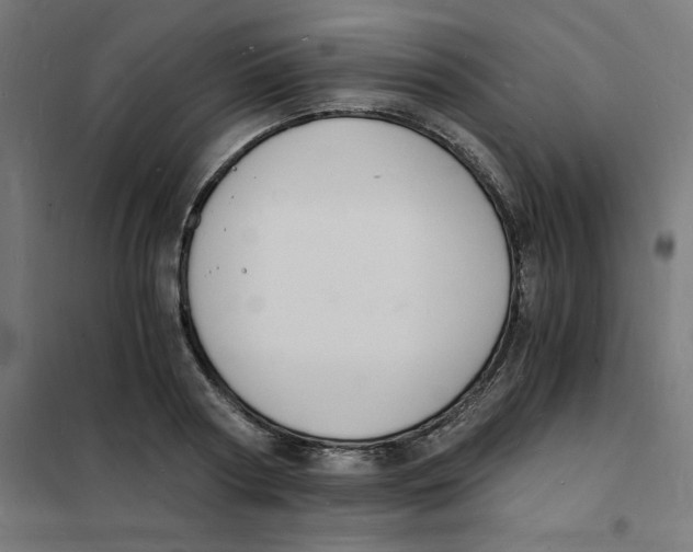 X0000101670794200808071044