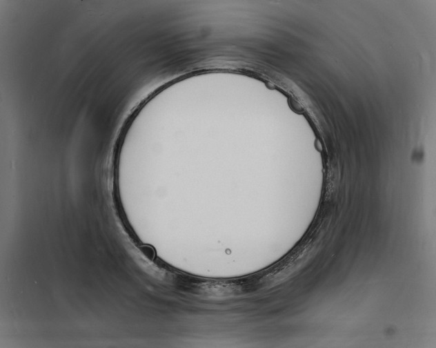 X0000101670795200808071044