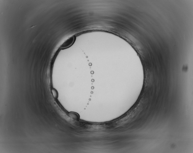X0000101670796200808071044