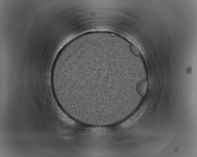 X0000101670797200808071044