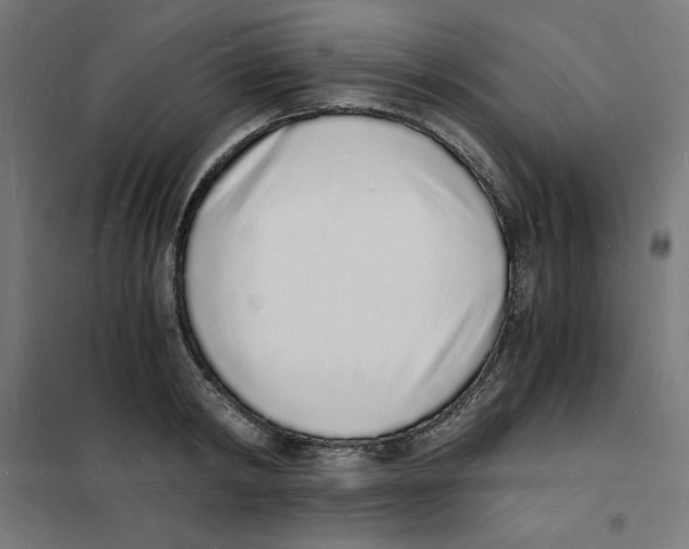 X0000101670798200808071044