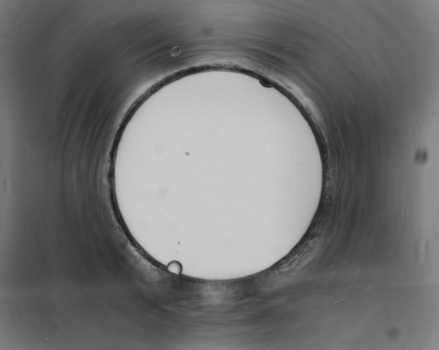 X0000101670799200808071044