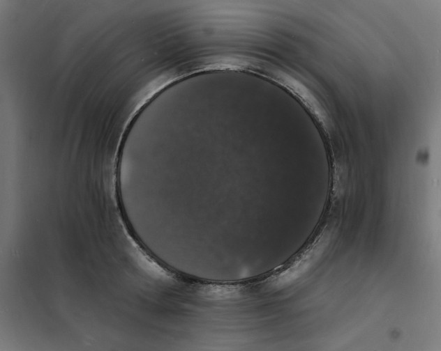 X0000101670802200808071043