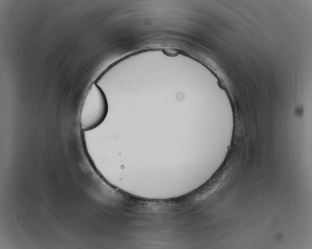 X0000101670803200808071043