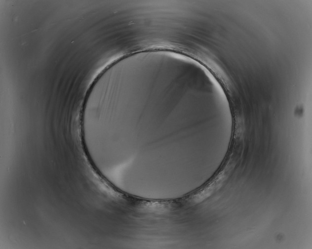 X0000101670806200808071043