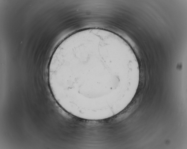 X0000101670807200808071043