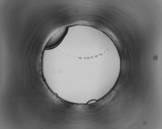 X0000101670808200808071043