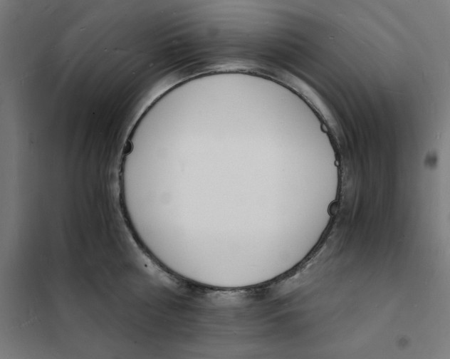 X0000101670810200808071043