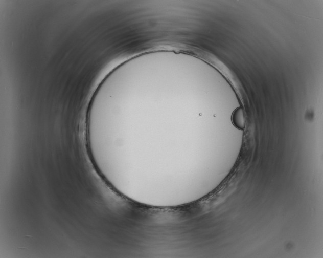 X0000101670811200808071043