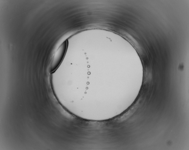 X0000101670812200808071043