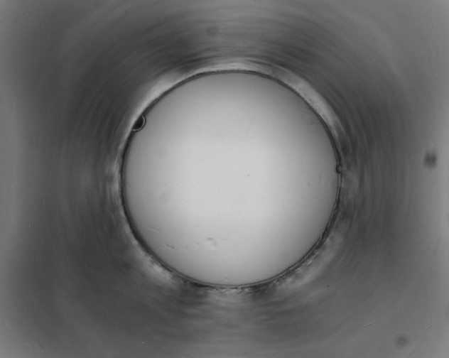 X0000101670813200808071043