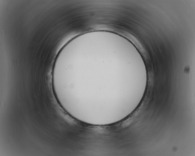 X0000101670814200808071043