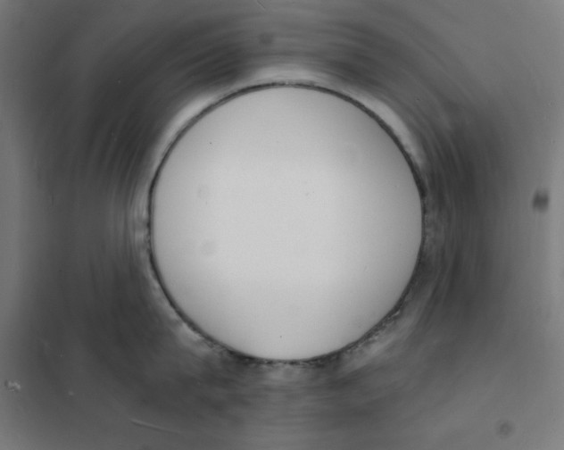 X0000101670815200808071043