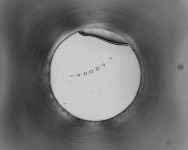 X0000101670816200808071043