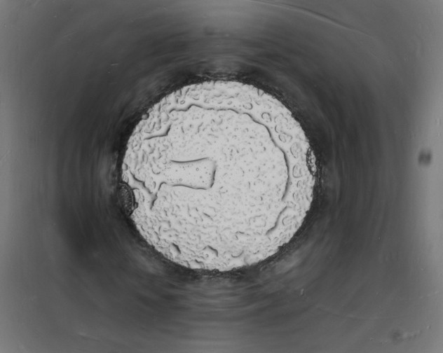 X0000101670818200808071042