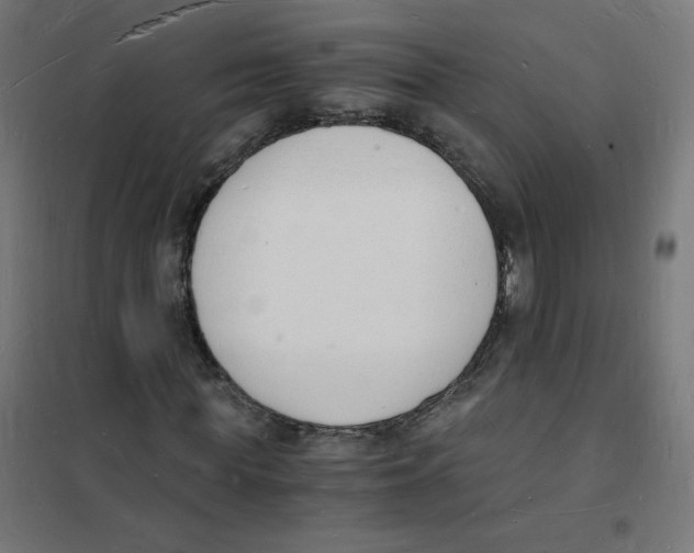 X0000101670819200808071042