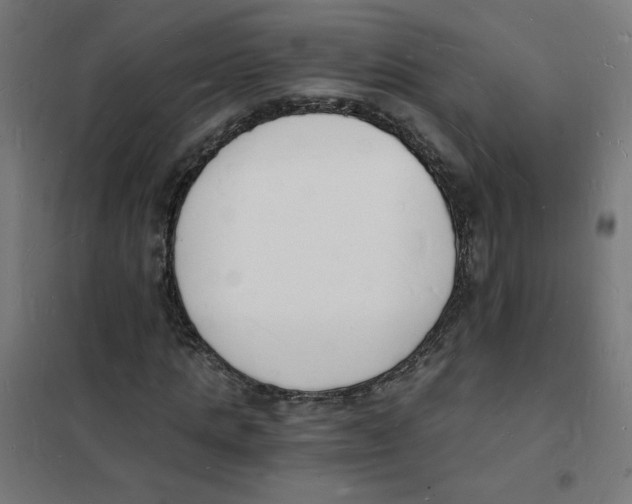 X0000101670821200808071042