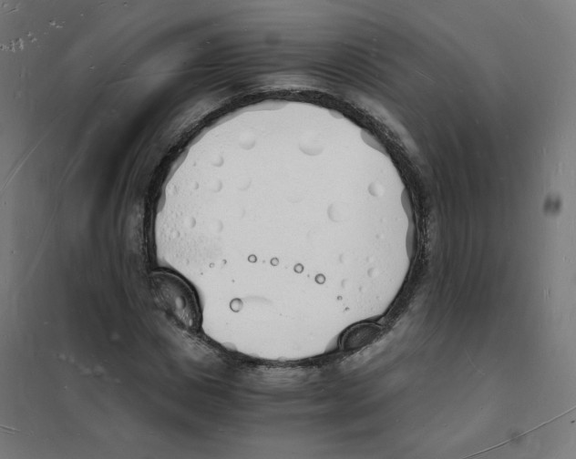 X0000101670825200808071042