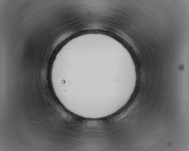 X0000101670826200808071042