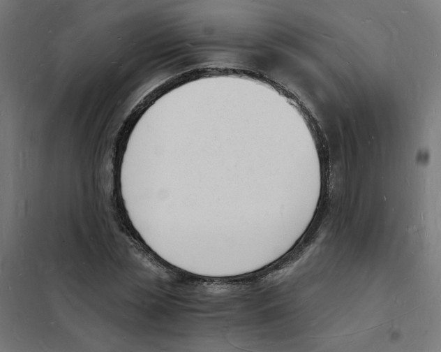 X0000101670829200808071042