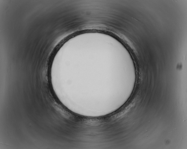 X0000101670830200808071042