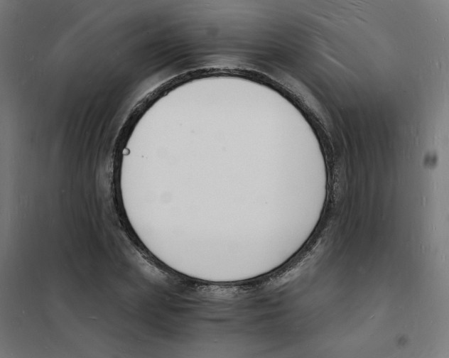 X0000101670831200808071042
