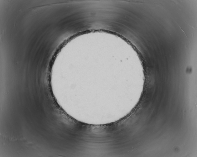 X0000101670832200808071042