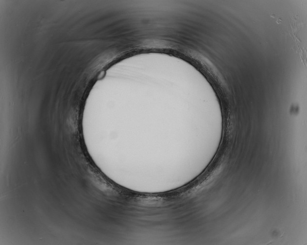 X0000101670833200808071042