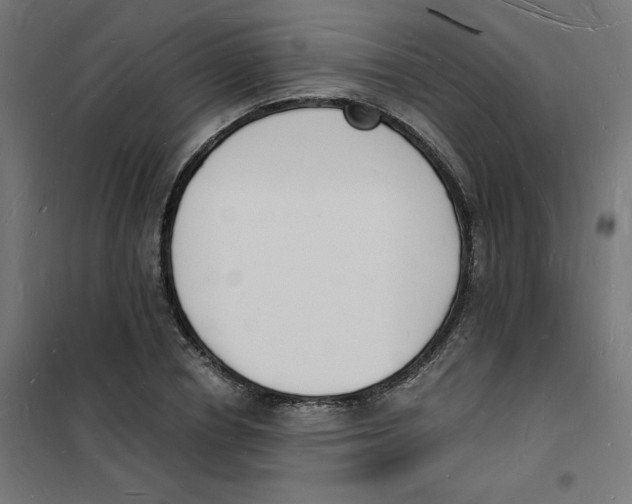 X0000101670834200808071042