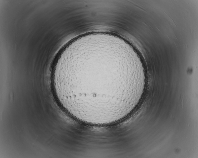 X0000101670835200808071042