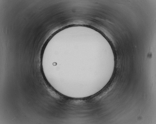 X0000101670837200808071043