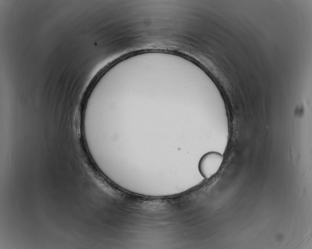 X0000101670838200808071043