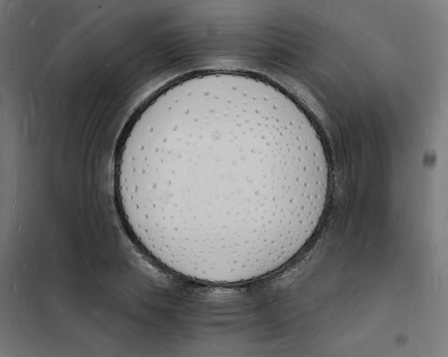 X0000101670839200808071043