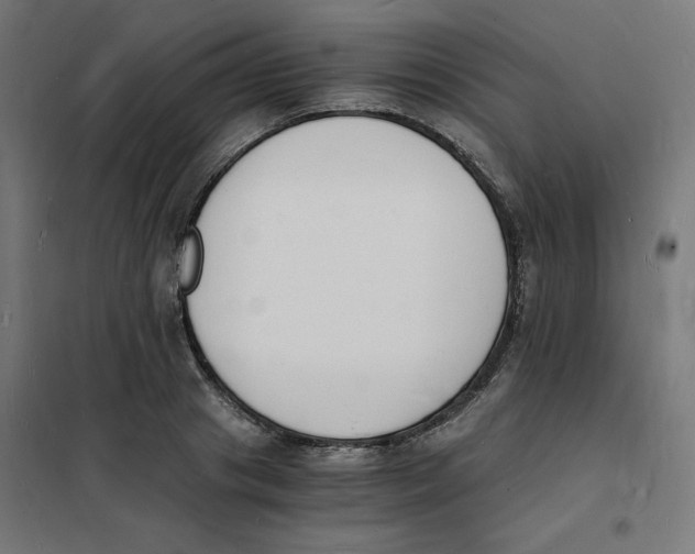 X0000101670841200808071043