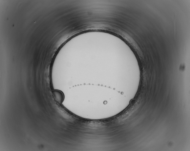 X0000101670842200808071043