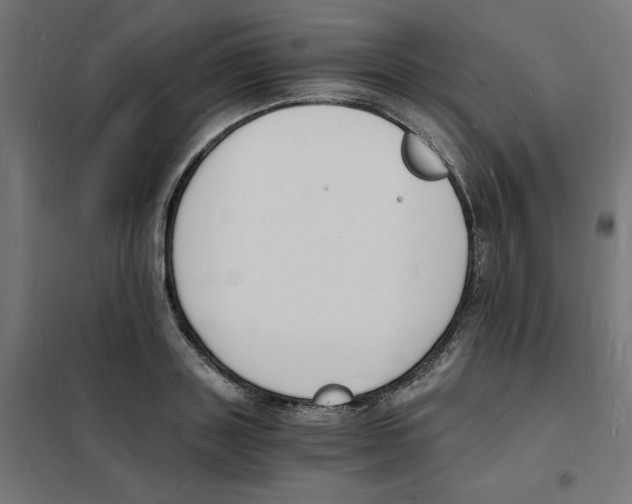 X0000101670843200808071043