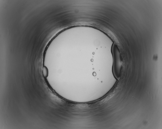 X0000101670844200808071043
