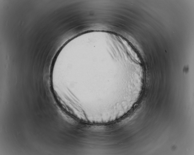 X0000101670845200808071043