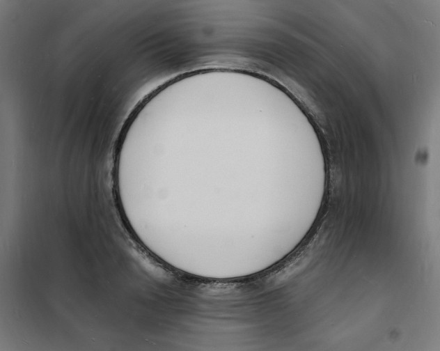 X0000101670846200808071043