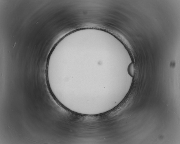 X0000101670847200808071043