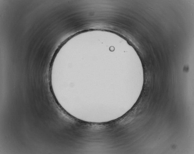 X0000101670848200808071043