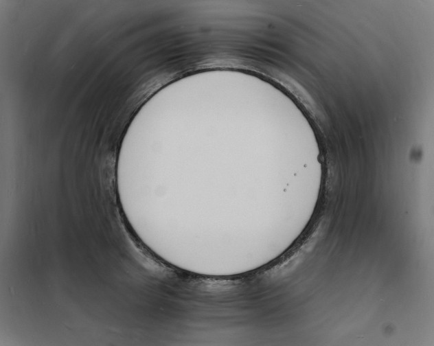X0000101670849200808071043