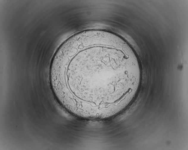 X0000101670850200808071043