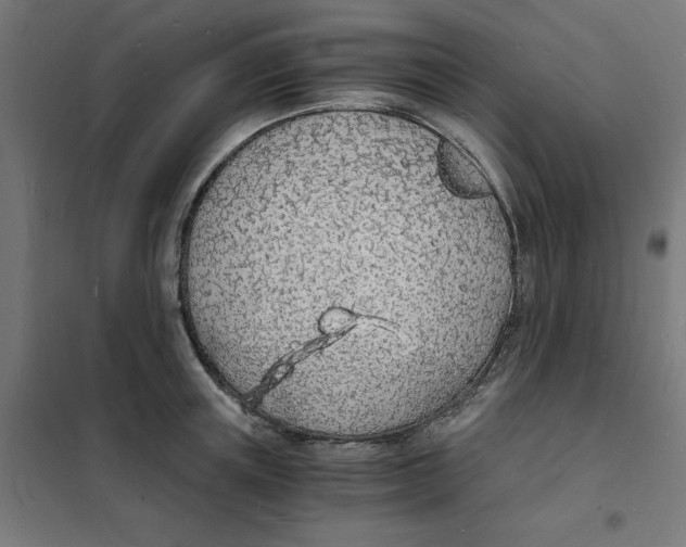 X0000101670851200808071043