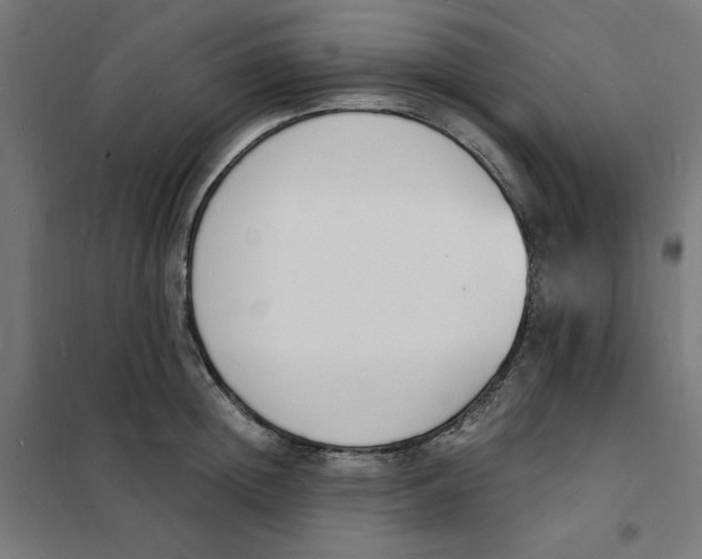 X0000101670852200808071043