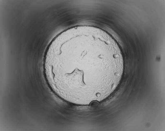 X0000101670853200808071043