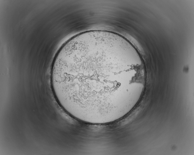 X0000101670854200808071043