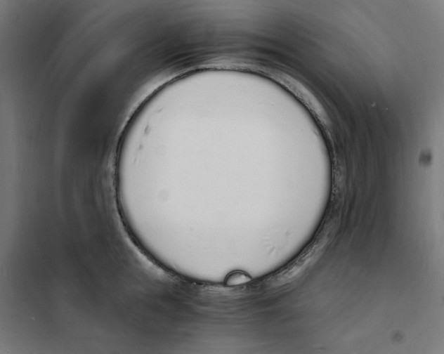 X0000101670855200808071043