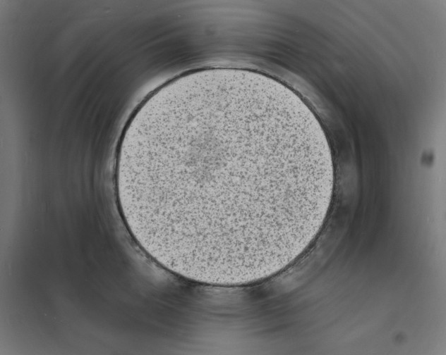 X0000101670856200808071043